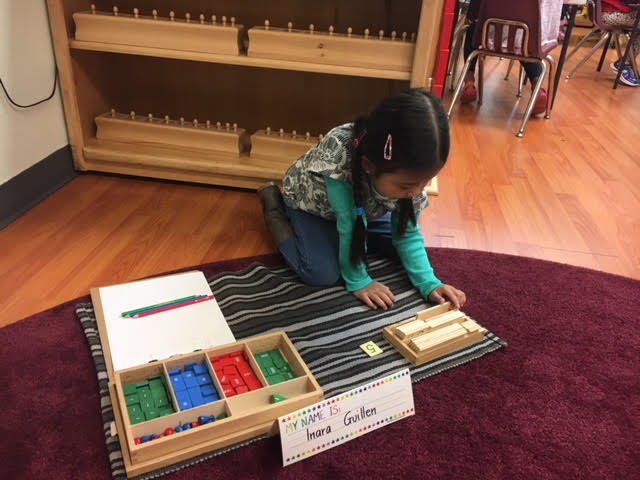 Delight Montessori School